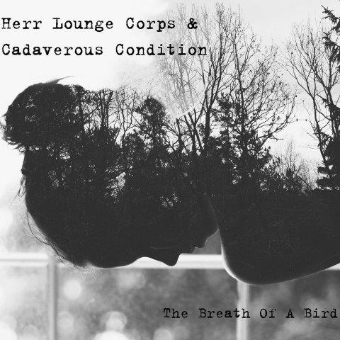 20.5.2023HAMMMER HERR LOUNGE CORPS & CADAVEROUS CONDITION-1