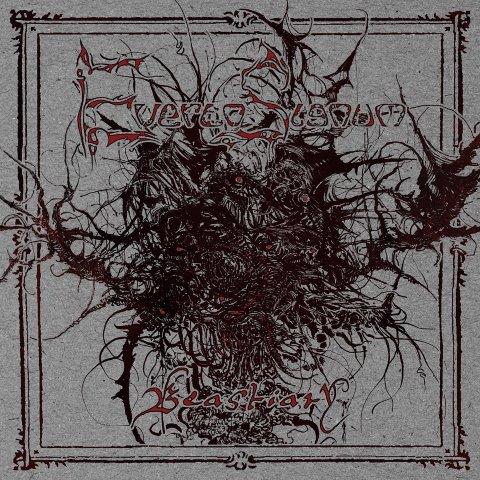 14.9.2024News EVERTO SIGNUM