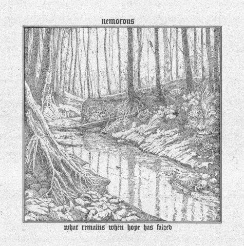 16.11.2025News NEMOROUS