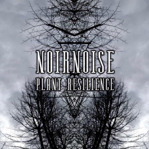 17.1.2026 News NOIRNOISE