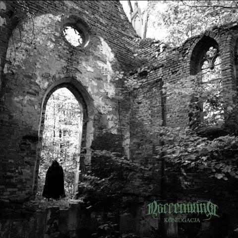 2.8.2025News Narrenwind