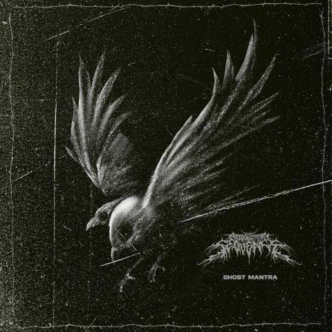 21.3.202 News THE ABSOLUTION SEQUENCE