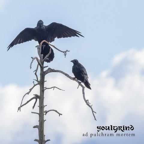 24.7.2026 News Soulgrind