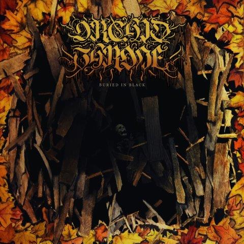 25.11.2025News ORCHID THRONE