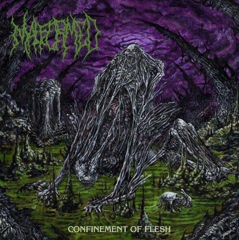 26.7.2025News MALFORMED