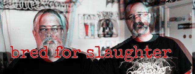 27.2.2024 News BRED FOR SLAUGHTER