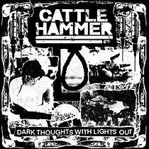 28.12.2025News Cattle Hammer