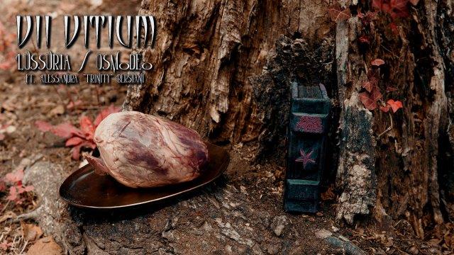 31.10.2025News VII VITIUM