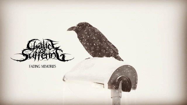 6.3.2026 News Chalice of suffering