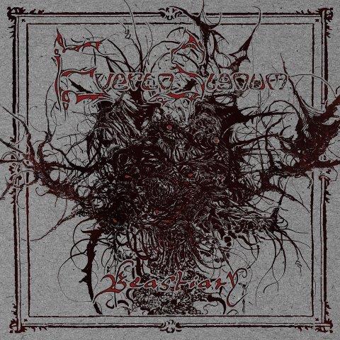 9.11.2024 News EVERTO SIGNUM