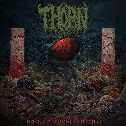 9.8.2025News THORN