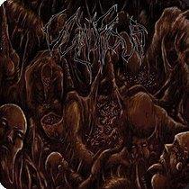 9.8.2025News Vulnificus